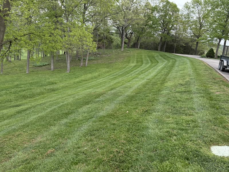 Clean mowing stripes along residential driveway
