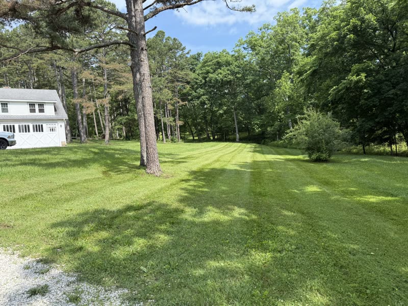 Side yard lawn care with natural tree-lined setting
