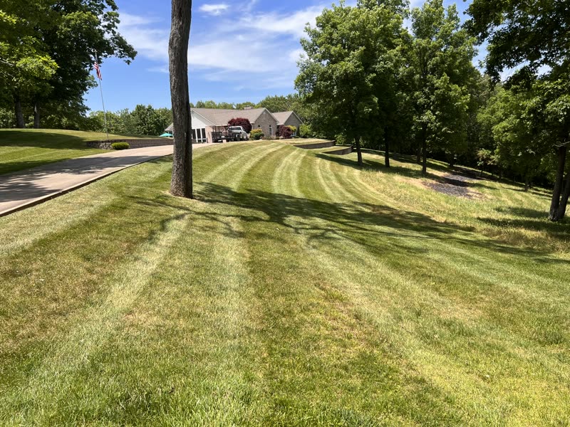 Expansive lawn with striped mowing pattern and house in background